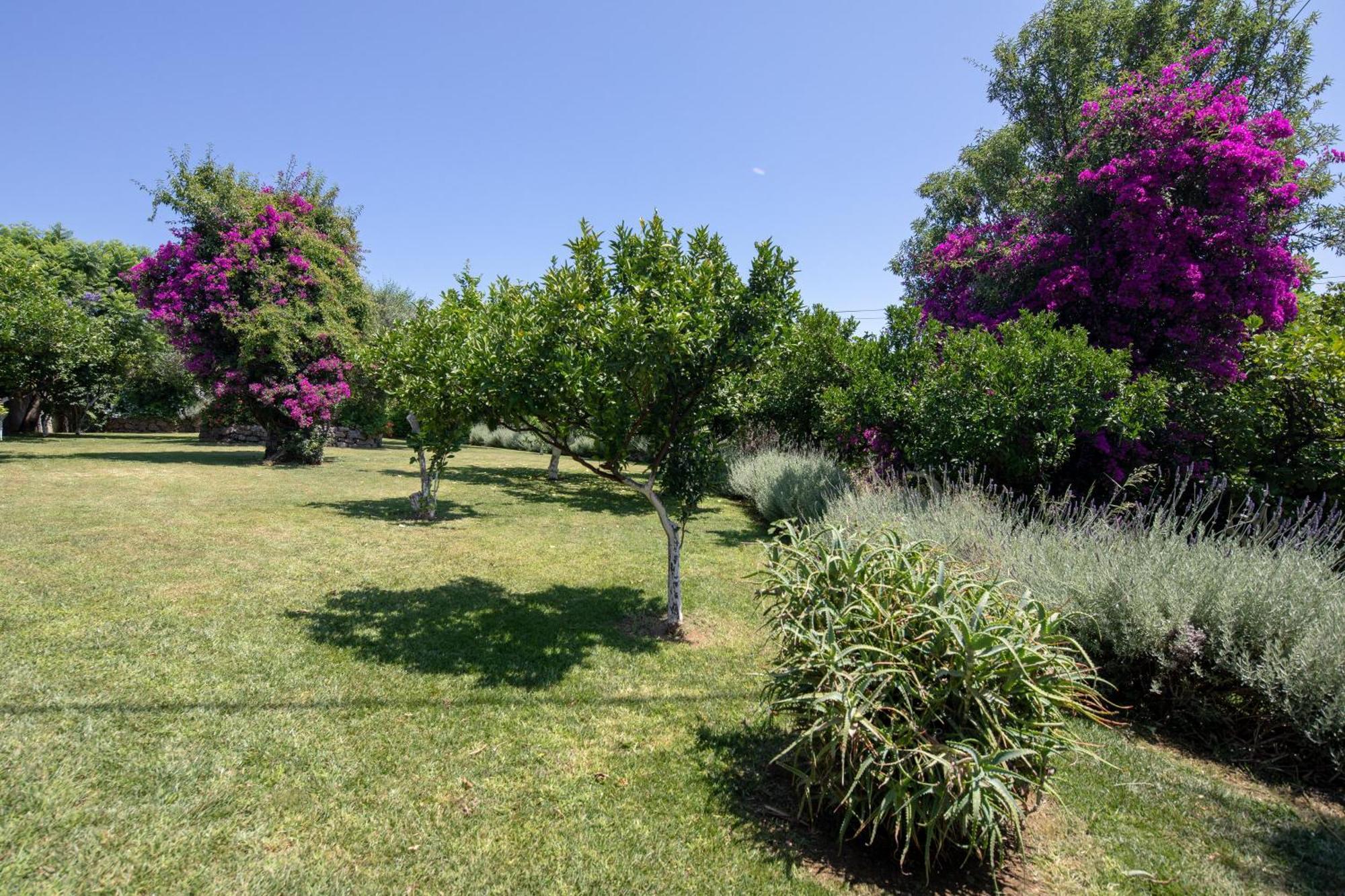 בניטסס Ionian Garden Villas - Villa Pietra מראה חיצוני תמונה